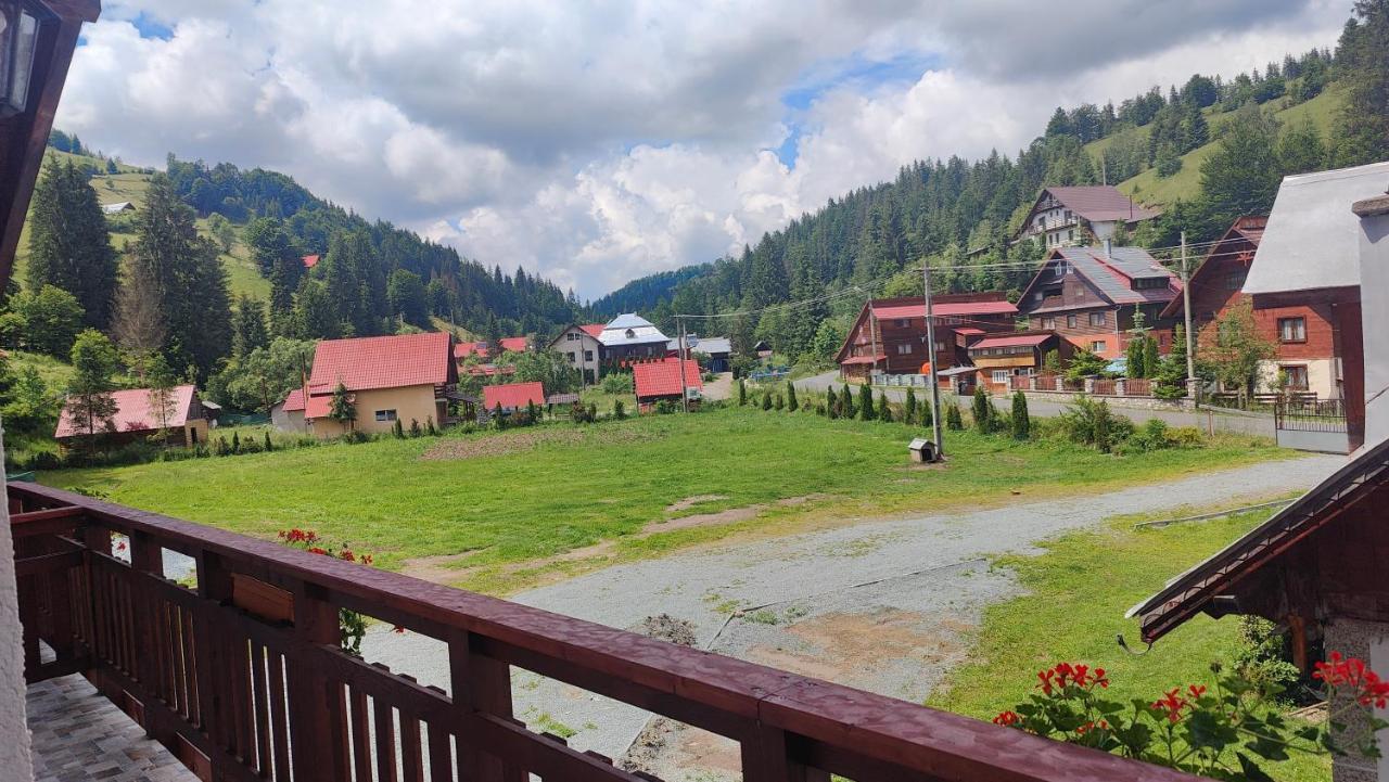 Pensiunea Trei Brazi Arieşeni Exterior foto